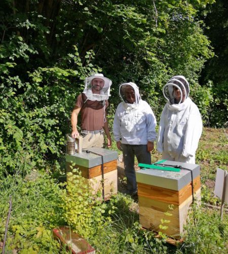 Ours-des-lys-apiculture-ruches-decouverte-abeille-entreprise