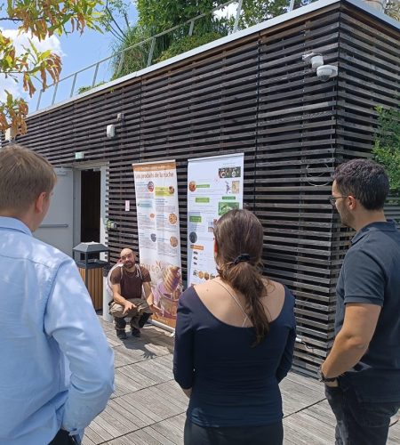 Ours-des-lys-apiculture-ruches-entreprises-strategie-RSE-Ile-de-france